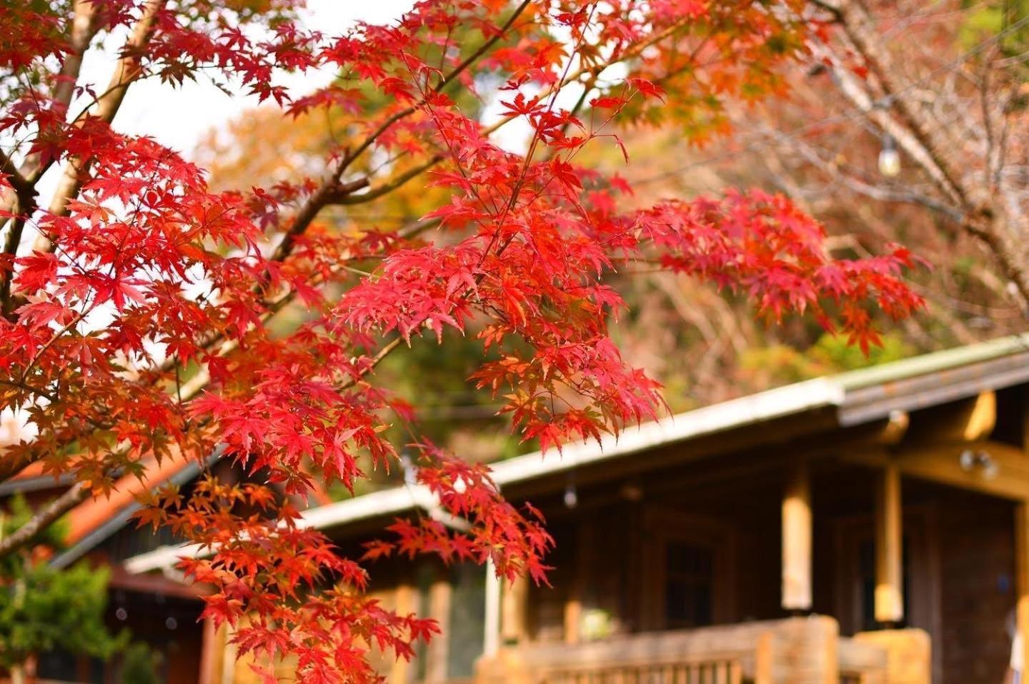 Sunny Side Cottage Симода Экстерьер фото